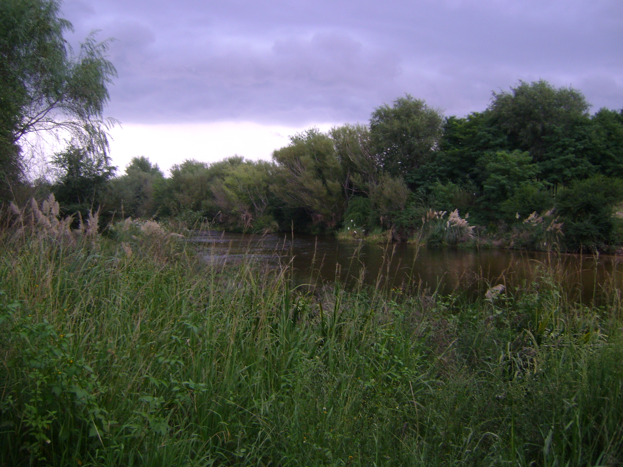 fotos/2011 - Los Reartes/DSC03285.JPG